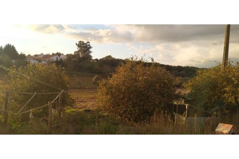 Farm i Estremoz, Evora, Estremoz - € 490.000 | Ref: MAS_110 - foto 21