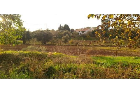 Farm i Estremoz, Evora, Estremoz - € 490.000 | Ref: MAS_110 - foto 22