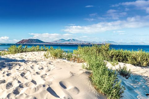 Helårsgrund i Corralejo, Fuerteventura, Corralejo - € 25.000.000 | Ref: 41 - foto 14