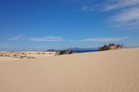 Helårsgrund i Corralejo, Fuerteventura, Corralejo - € 25.000.000 | Ref: 41 - foto 6