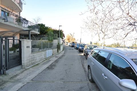 Terra a Silvi, Teramo, Silvi - € 295.000 | Ref: 6657819 - foto 3