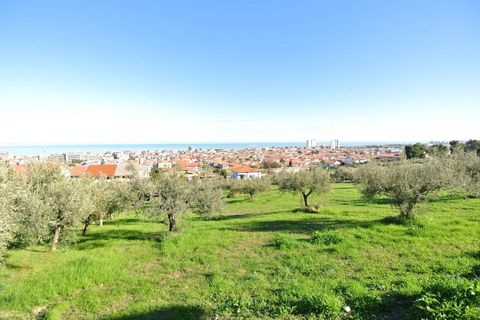Terra a Silvi, Teramo, Silvi - € 295.000 | Ref: 6657819 - foto 5
