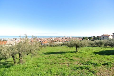 Terra a Silvi, Teramo, Silvi - € 295.000 | Ref: 6657819 - foto 6