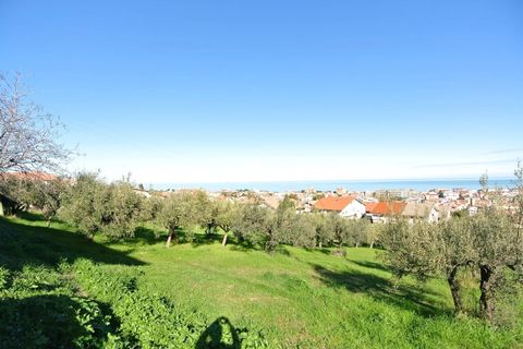 Terra a Silvi, Teramo, Silvi - € 295.000 | Ref: 6657819 - foto 7