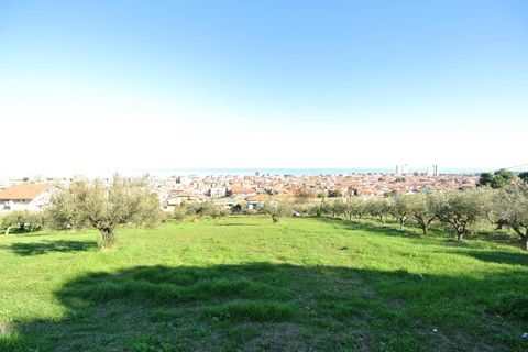 Terra a Silvi, Teramo, Silvi - € 295.000 | Ref: 6657819 - foto 9