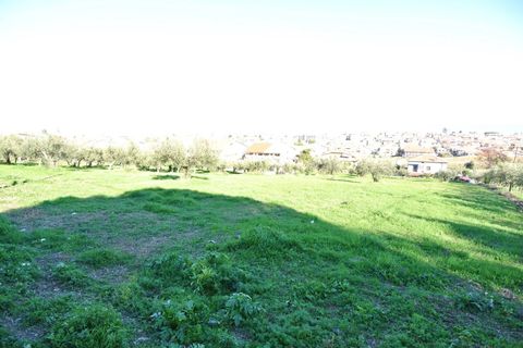 Terra a Silvi, Teramo, Silvi - € 295.000 | Ref: 6657819 - foto 10
