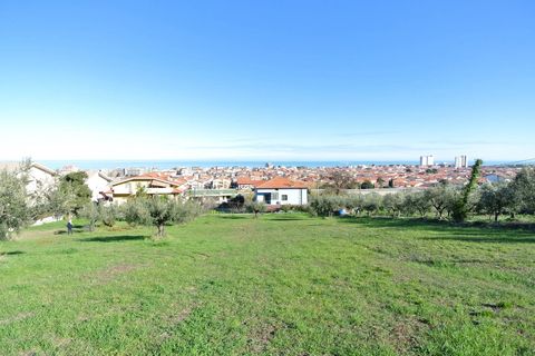 Terra a Silvi, Teramo, Silvi - € 295.000 | Ref: 6657819 - foto 11