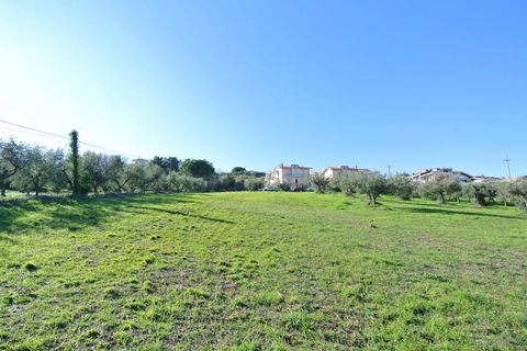 Terra a Silvi, Teramo, Silvi - € 295.000 | Ref: 6657819 - foto 14