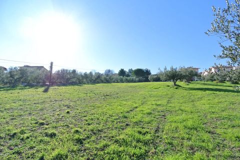 Terra a Silvi, Teramo, Silvi - € 295.000 | Ref: 6657819 - foto 15