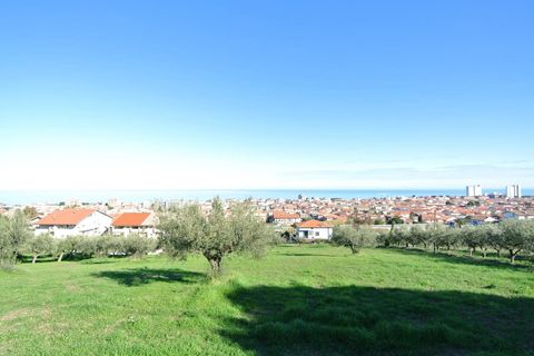 Terra a Silvi, Teramo, Silvi - € 295.000 | Ref: 6657819 - foto 17