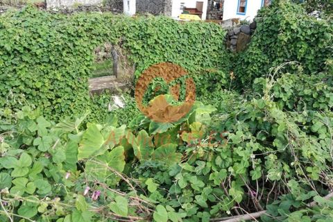 Stadthaus in Calheta, Sao Jorge, Calheta - € 105.000 | Ref: 142 - Foto 6