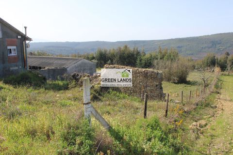 Helårsgrund i Arganil, Coimbra, Arganil - € 23.750 | Ref: 502 - foto 5
