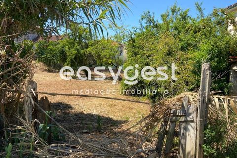 Helårsgrund i Coimbra, Coimbra, Coimbra - € 470.000 | Ref: RR86923 - foto 4