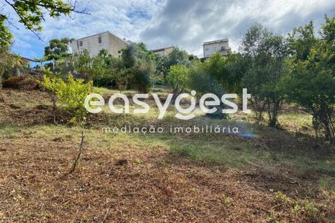 Helårsgrund i Coimbra, Coimbra, Coimbra - € 470.000 | Ref: RR86923 - foto 7