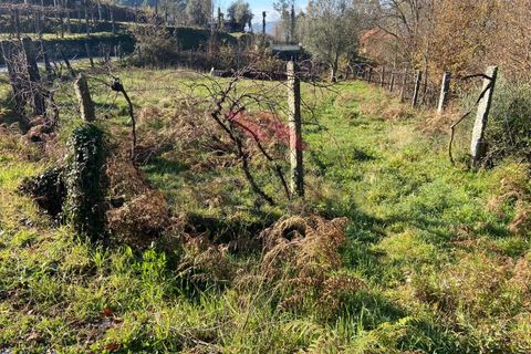 Terra a Azere, Viana do Castelo, Azere - € 40.000 | Ref: AVV-1977-MR-0222 - foto 2