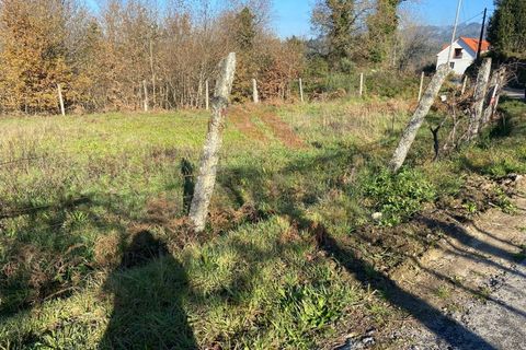 Terra a Azere, Viana do Castelo, Azere - € 40.000 | Ref: AVV-1977-MR-0222 - foto 3