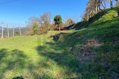 Terra a Azere, Viana do Castelo, Azere - € 68.000 | Ref: AVV-1978-JL-0222 - foto 2