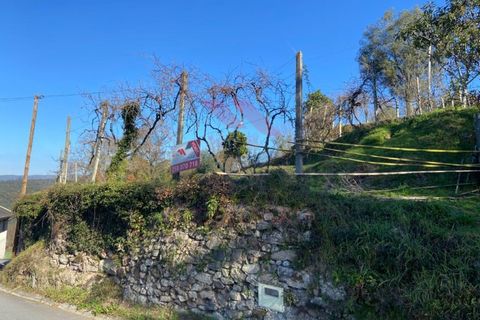 Terra a Azere, Viana do Castelo, Azere - € 68.000 | Ref: AVV-1978-JL-0222 - foto 4