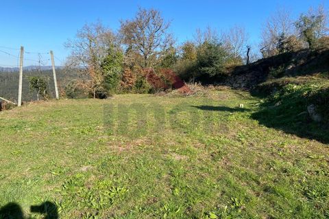 Terra a Azere, Viana do Castelo, Azere - € 68.000 | Ref: AVV-1978-JL-0222 - foto 7