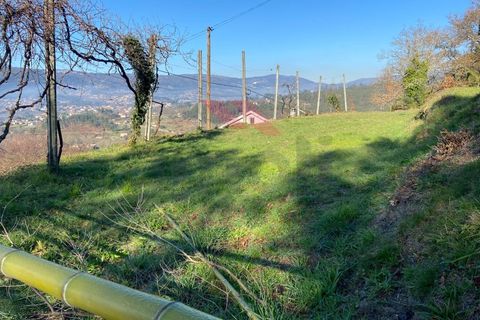 Terra a Azere, Viana do Castelo, Azere - € 68.000 | Ref: AVV-1978-JL-0222 - foto 8