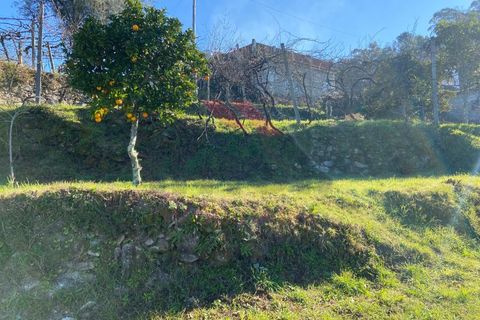 Terra a Azere, Viana do Castelo, Azere - € 68.000 | Ref: AVV-1978-JL-0222 - foto 9