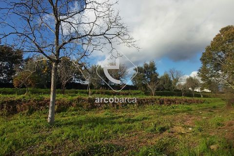 Helårsgrund i Ponte de Lima, Viana do Castelo, Ponte de Lima - € 550.000 | Ref: AV5183 - foto 12