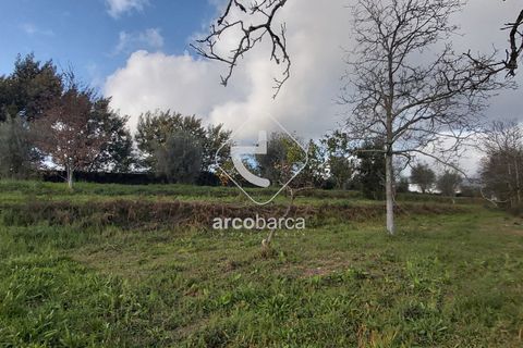 Helårsgrund i Ponte de Lima, Viana do Castelo, Ponte de Lima - € 550.000 | Ref: AV5183 - foto 2