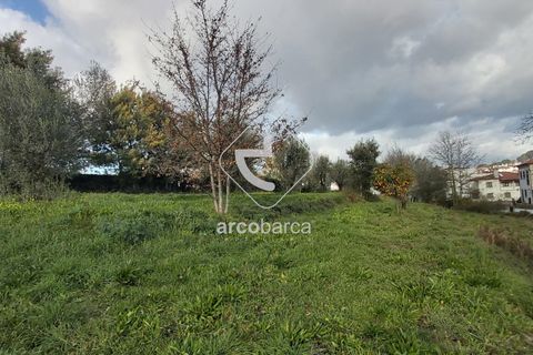 Helårsgrund i Ponte de Lima, Viana do Castelo, Ponte de Lima - € 550.000 | Ref: AV5183 - foto 3