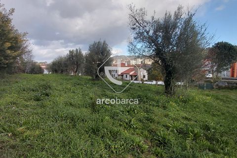 Helårsgrund i Ponte de Lima, Viana do Castelo, Ponte de Lima - € 550.000 | Ref: AV5183 - foto 4
