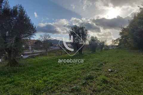 Helårsgrund i Ponte de Lima, Viana do Castelo, Ponte de Lima - € 550.000 | Ref: AV5183 - foto 5