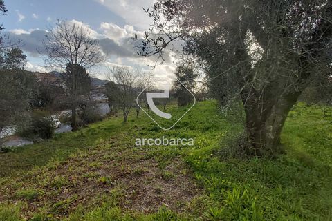 Helårsgrund i Ponte de Lima, Viana do Castelo, Ponte de Lima - € 550.000 | Ref: AV5183 - foto 6