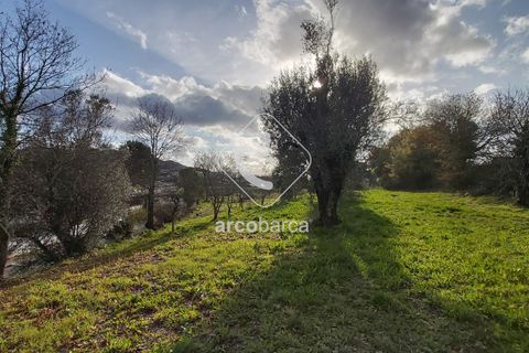 Helårsgrund i Ponte de Lima, Viana do Castelo, Ponte de Lima - € 550.000 | Ref: AV5183 - foto 8