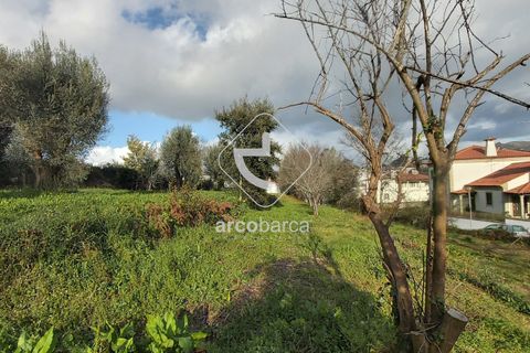 Helårsgrund i Ponte de Lima, Viana do Castelo, Ponte de Lima - € 550.000 | Ref: AV5183 - foto 9