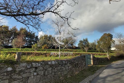 Helårsgrund i Ponte de Lima, Viana do Castelo, Ponte de Lima - € 550.000 | Ref: AV5183 - foto 11