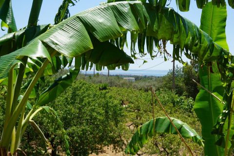 Villa i L'Ampolla, Tarragona, L'Ampolla - € 495.000 | Ref: Hacienda/7003 - foto 3