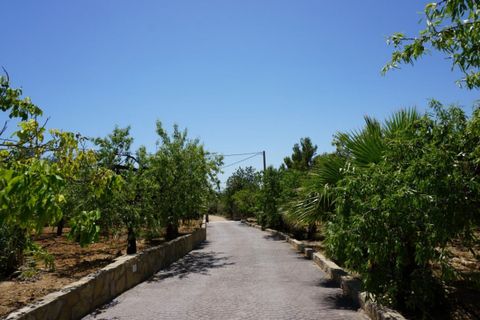 Villa i L'Ampolla, Tarragona, L'Ampolla - € 495.000 | Ref: Hacienda/7003 - foto 14