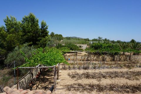 Villa i L'Ampolla, Tarragona, L'Ampolla - € 495.000 | Ref: Hacienda/7003 - foto 16