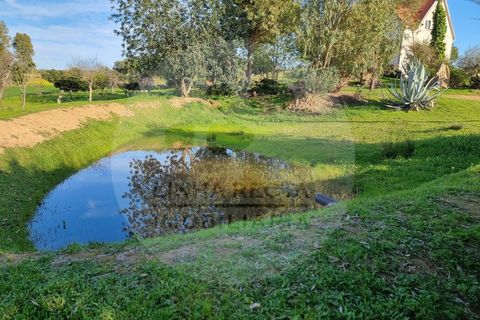 Farm hus i Almodovar, Beja, Almodovar - € 430.000 | Ref: QV-002.22 - foto 2