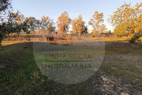 Farm hus i Almodovar, Beja, Almodovar - € 430.000 | Ref: QV-002.22 - foto 48