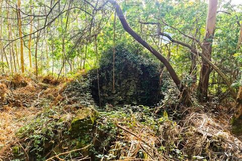 Træhytte i Ponte de Lima, Viana do Castelo, Ponte de Lima - € 20.000 | Ref: CAS_1699 - foto 2
