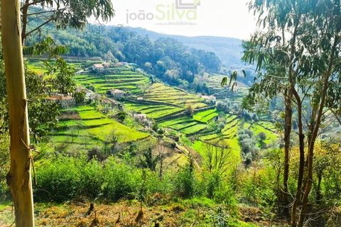 Træhytte i Ponte de Lima, Viana do Castelo, Ponte de Lima - € 20.000 | Ref: CAS_1699 - foto 4