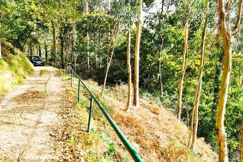 Træhytte i Ponte de Lima, Viana do Castelo, Ponte de Lima - € 20.000 | Ref: CAS_1699 - foto 5