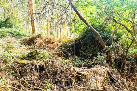 Træhytte i Ponte de Lima, Viana do Castelo, Ponte de Lima - € 20.000 | Ref: CAS_1699 - foto 8
