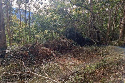Træhytte i Ponte de Lima, Viana do Castelo, Ponte de Lima - € 20.000 | Ref: CAS_1699 - foto 12
