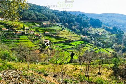 Træhytte i Ponte de Lima, Viana do Castelo, Ponte de Lima - € 20.000 | Ref: CAS_1699 - foto 13