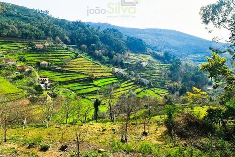 Træhytte i Ponte de Lima, Viana do Castelo, Ponte de Lima - € 20.000 | Ref: CAS_1699 - foto 14