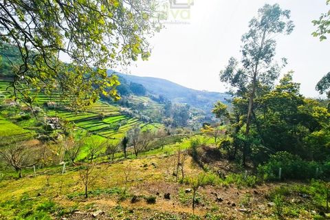 Træhytte i Ponte de Lima, Viana do Castelo, Ponte de Lima - € 20.000 | Ref: CAS_1699 - foto 19