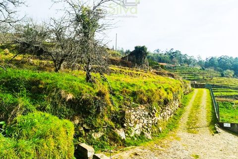 Træhytte i Ponte de Lima, Viana do Castelo, Ponte de Lima - € 45.000 | Ref: CAS_1698 - foto 2
