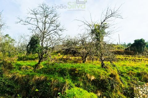 Træhytte i Ponte de Lima, Viana do Castelo, Ponte de Lima - € 45.000 | Ref: CAS_1698 - foto 3