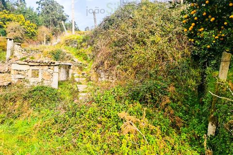 Træhytte i Ponte de Lima, Viana do Castelo, Ponte de Lima - € 45.000 | Ref: CAS_1698 - foto 4